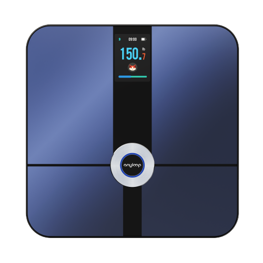 anyloop Smart Scale Pro