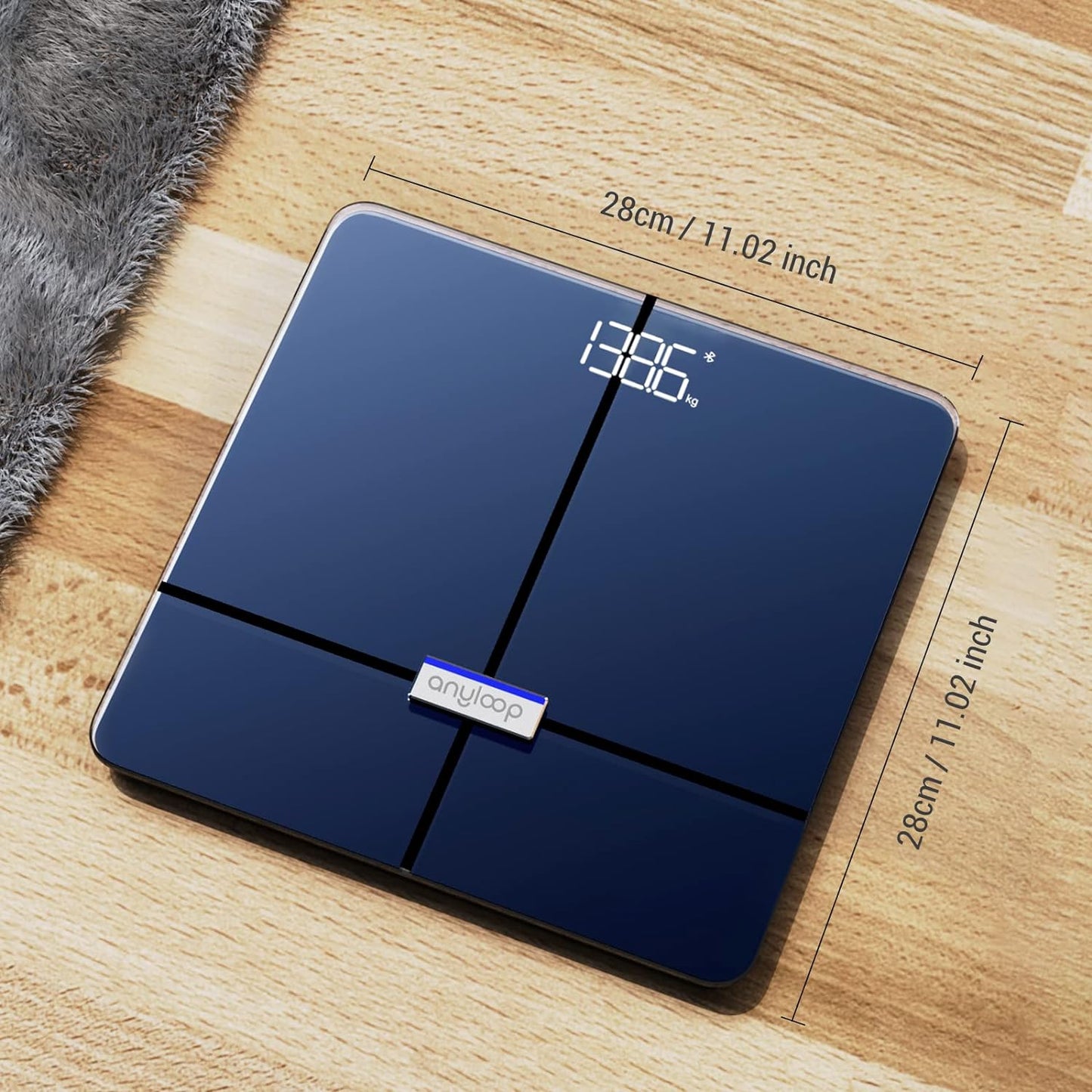 anyloop Smart Scale S2
