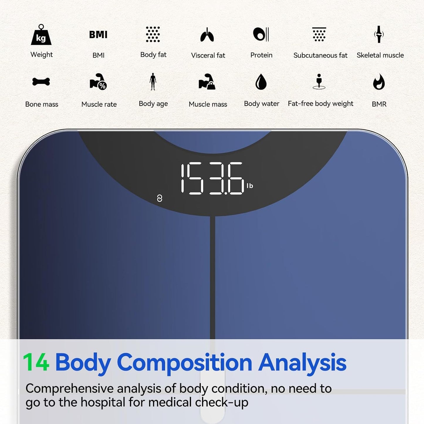 anyloop Smart Scale S3