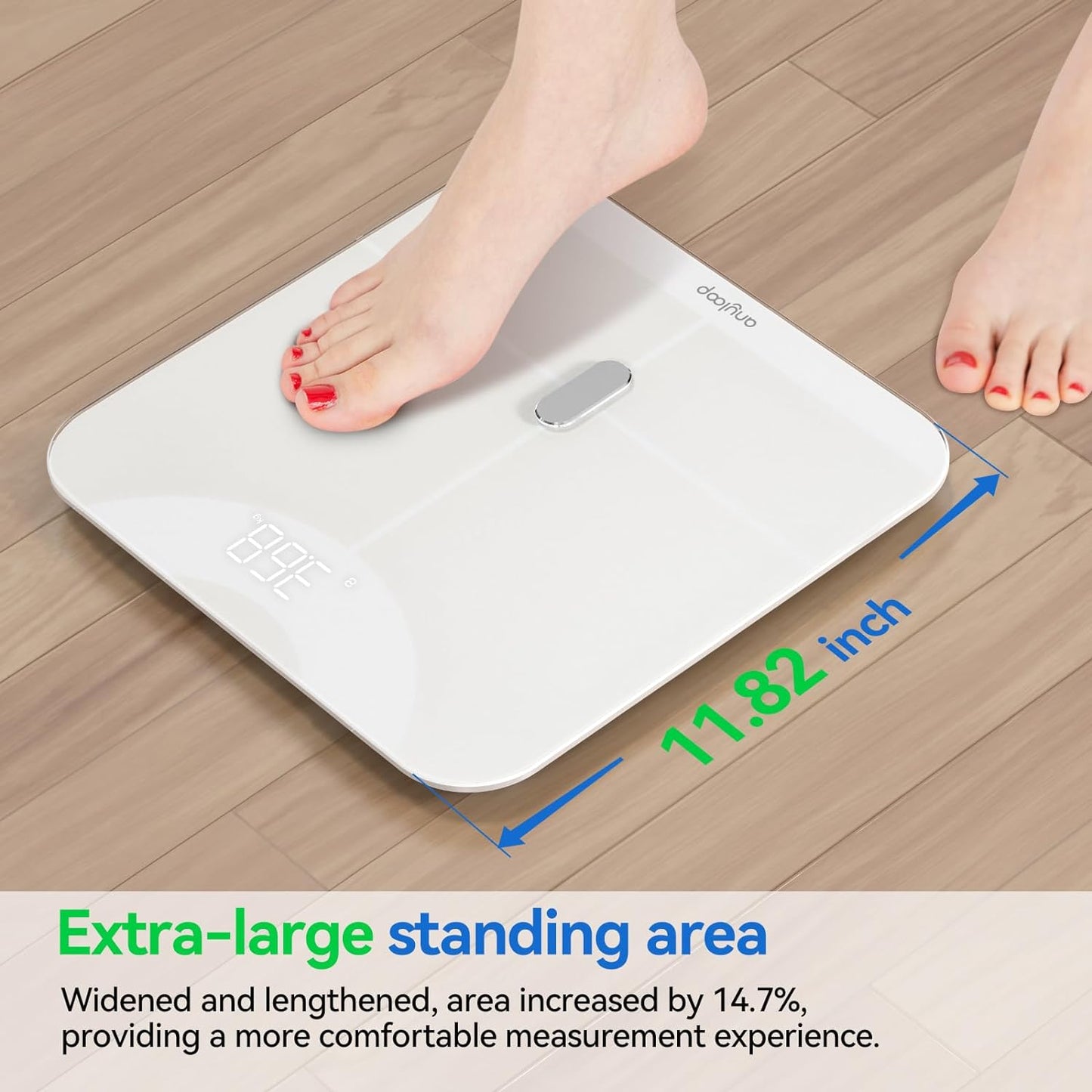 anyloop Smart Scale S3